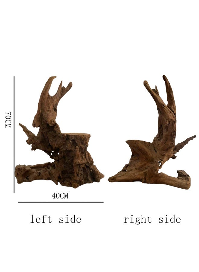 Natural Root Carving Decor 70 cm Handmade Driftwood Wood Sculpture Organic Tree Root Decoration for Home, Tea Table & Aquarium - Image 2