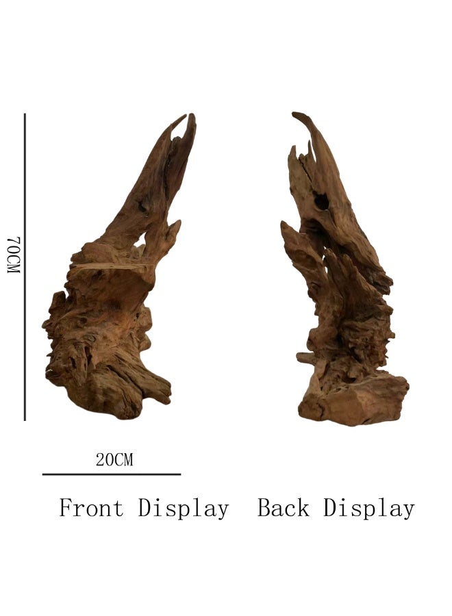 Natural Root Carving Decor 70 cm Handmade Driftwood Wood Sculpture Organic Tree Root Decoration for Home, Tea Table & Aquarium - Image 3