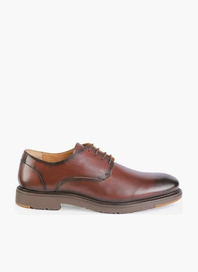 DUCHINI Men Lace-Up Derby Shoes