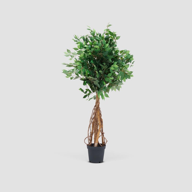 AL HUZAIFA FURNITURE Ficus Faux Plant - Image 1