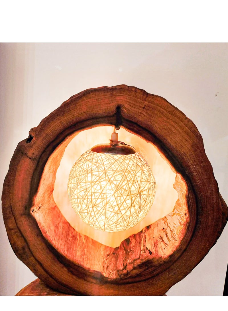 Campus interiors Rustic Wooden Lamp, Premium Camphor Trunk Wood Decorative Light for Office or Home Decoration, Featuring Glass Ball Bulb with Fire Effect - Image 4