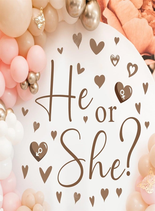 HATARU Gender Reveal Party Decals He or She What Will Baby Be Decorations for Balloon Arch Babies Gender Signs Oh Baby Shower Sign Backdrop Decal Girl or Boy Party Supplies Vinyl Sticker for Pregnacy Banner - Image 2