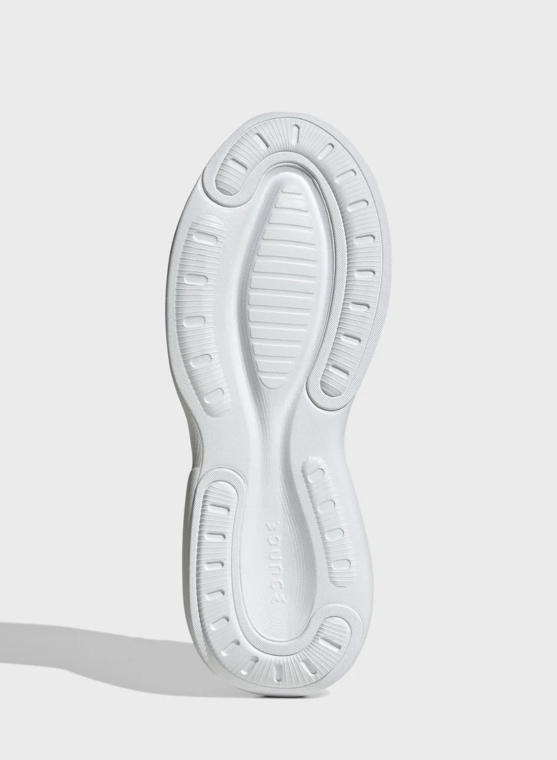 Adidas Alphaedge + Shoes