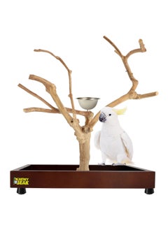 CHEWY BEAK Bird Stand Table Top Natural wooden Parrot Play Stand Indonesian Java wood Tree Perches with Stainless steel feeder medium size  - Image 1