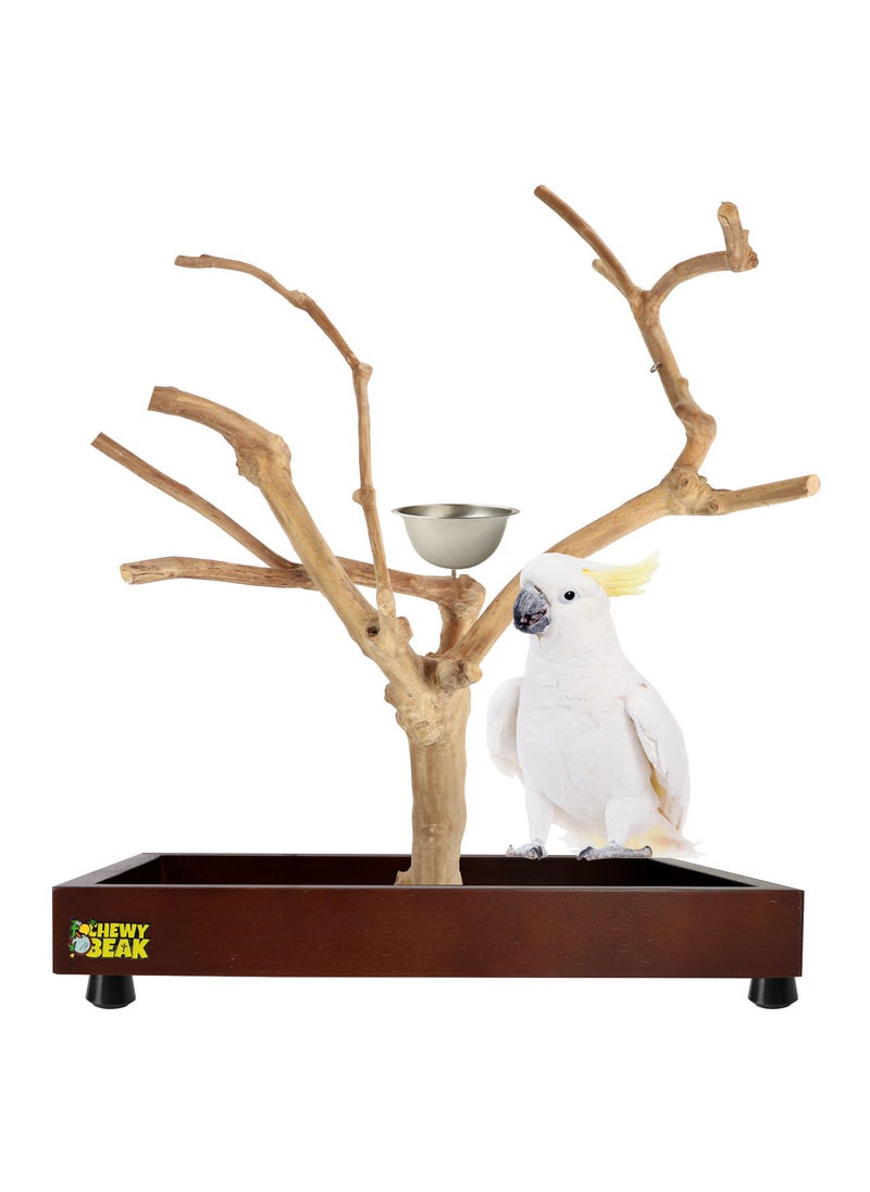 CHEWY BEAK - Bird Stand Table Top Natural wooden Parrot Play Stand Indonesian Java wood Tree Perches with Stainless steel feeder medium size - Image 1