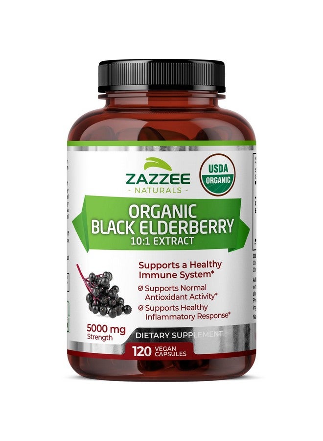 Zazzee USDA Organic Black Elderberry 10:1 Extract, 5000 mg Strength, 120 Vegan Capsules, 2 Month Supply, Standardized, Concentrated 10X Extract, 100% Vegetarian, All-Natural, Non-GMO, Made in The USA - Image 1