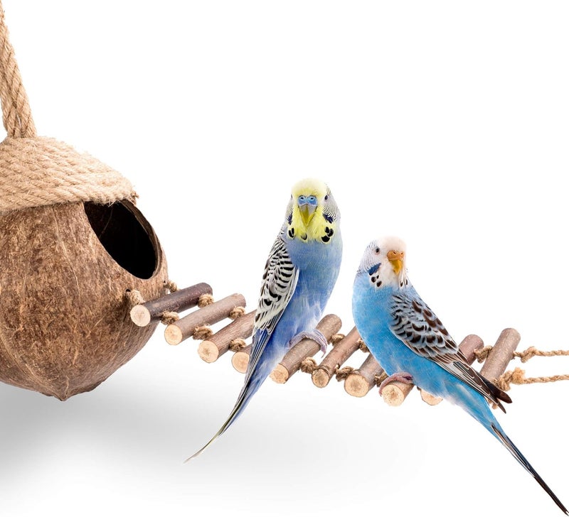 andwe Coconut Bird Nest Hut with Ladder for Parrots Parakeet Conures Cockatiel - Small Animals House Pet Cage Habitats Decor - Image 2