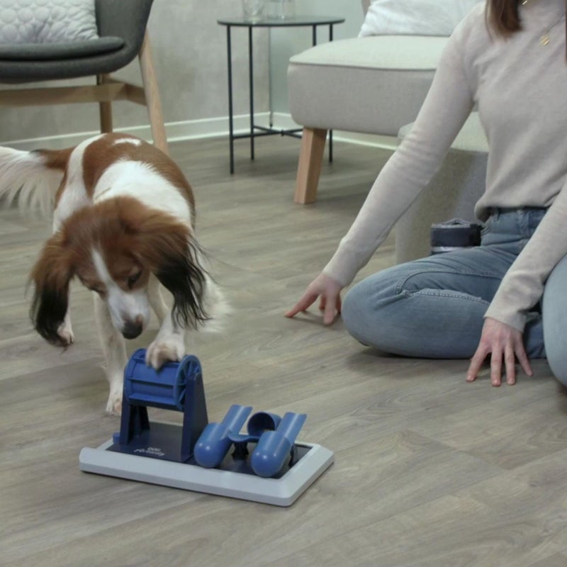 TRIXIE Vario Poker Box 2 Dog Enrichment Toy, Intermediate Level 2 Dog Puzzle, Interactive Treat Game - Image 3