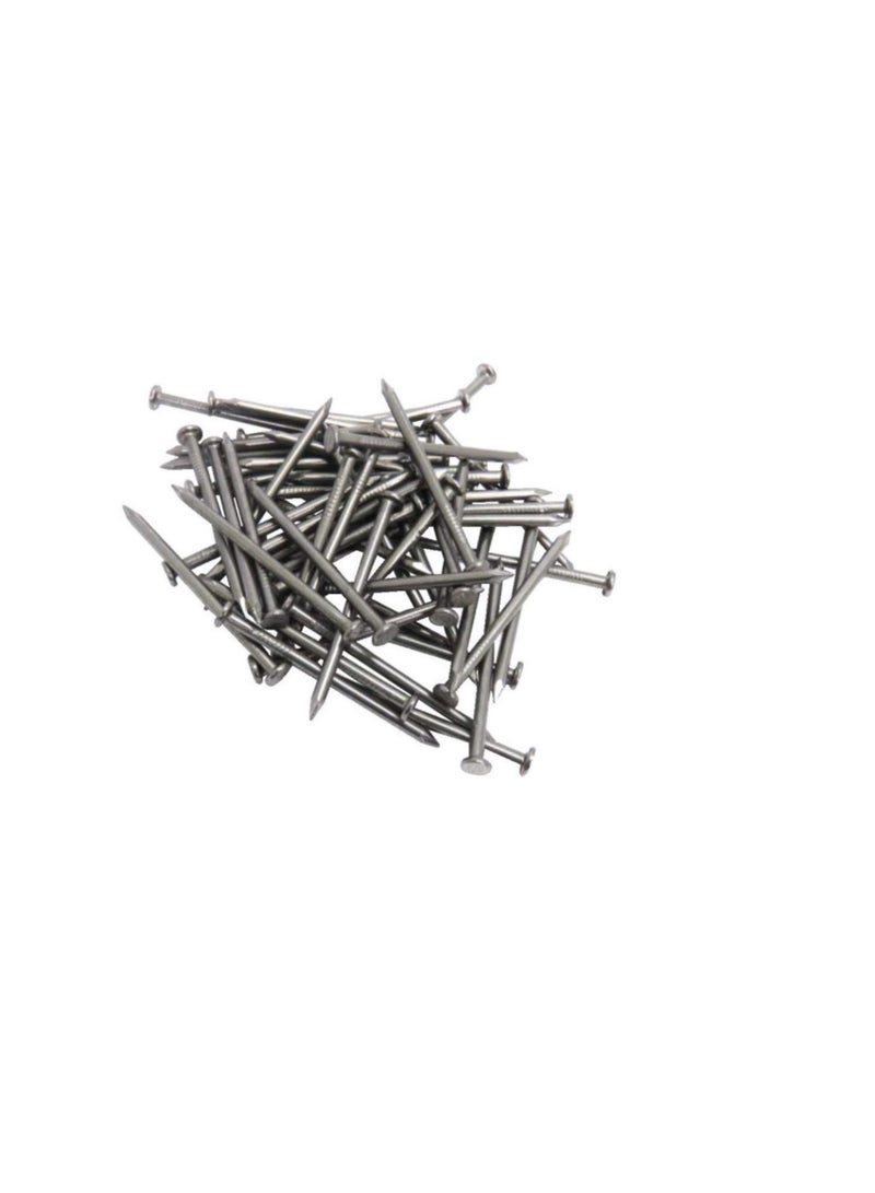High Strength Round Head Nails For Carpentry Hardware Electrical Etc (50, 6 inch) - Image 1
