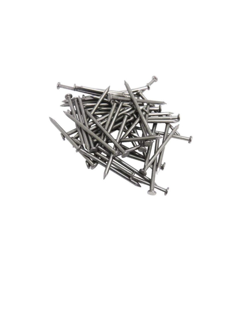 High Strength Round Head Nails For Carpentry Hardware Electrical Etc (50, 6 inch) - Image 2
