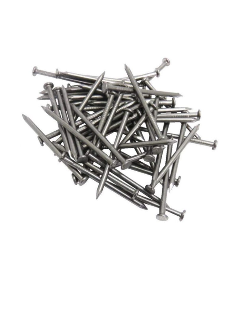 High Strength Round Head Nails For Carpentry Hardware Electrical Etc (50, 6 inch) - Image 3