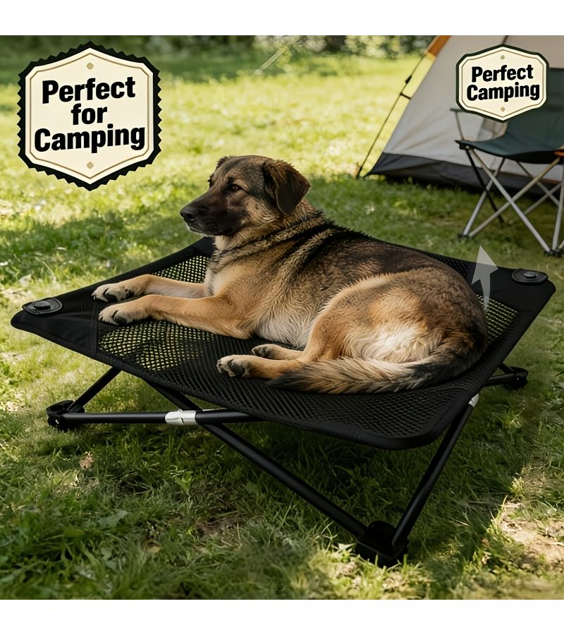 Black Elevated Folding Pet Bed Portable For Indoor Outdoor Camping Beach Travel Foldable Dog Cot Moisture Proof For Cats And Dogs - Image 1