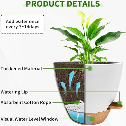 SORANGEUN 12/10/9/8 inch Self Watering Pots with Visual Water Window, Extra Large Self Watering Plant Pot with Drainage Holes and Saucers, White Flower Pots for Indoor Plants - Image 3