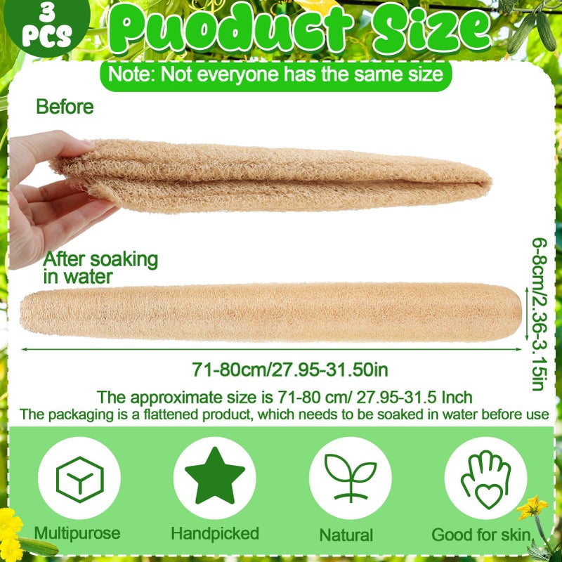 ZhouBoat 3 PCS 27.6-31.5 inch Large Natural Loofah Sponge Organic Exfoliating Scrubber for Shower Bath Body Dish Cleaning for Men Women - Image 2