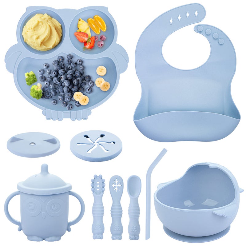 Bnditeu Baby Weaning Set Silicone Baby Feeding Set10 Pcs Toddler Weaning Set with Adjustable Bib Suction Bowl Plate Fork Spoon Water  Snack Cup Kit Baby Led Weaning Kit for Babies and Kids