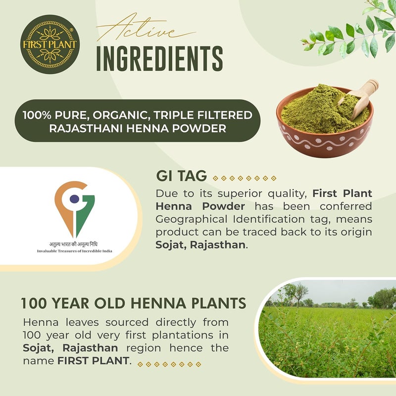 FIRST PLANT Premium Rajasthani HENNA POWDER 100 ORGANIC Henna with GI Tag for Hair Colour and Hair Care Pack of 2 x 400g - Image 3