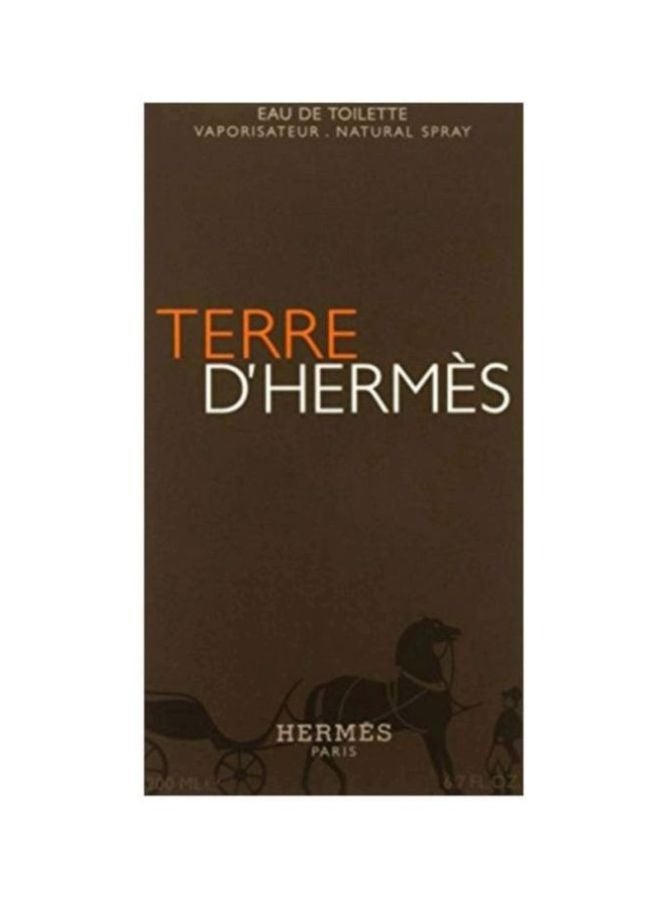 HERMES Terre D EDT Spray 200ml - Image 3