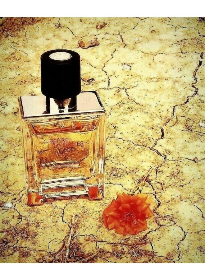 HERMES Terre D EDT Spray 200ml - Image 4