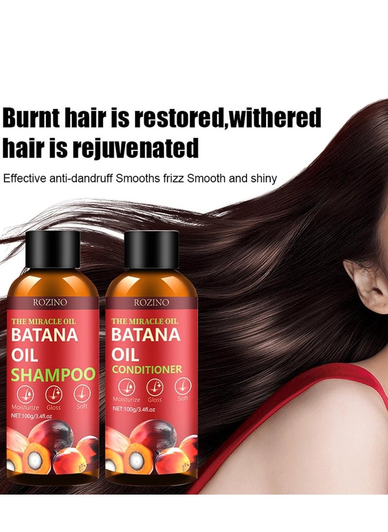 روزينو Batana Oil Shampoo and Conditioner Set, Batana Shampoo for Hair Growth for Thinning Hair and Hair Loss, Hair Growth Shampoo and Conditioner Set for All Style Hair for Men u0026 Women - Image 5