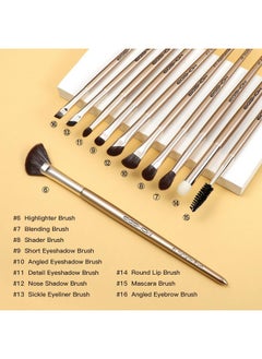 Professional Makeup Brush Set, 16Pcs With A Mascara Brush Premium Bristles &Case/Bag Eyeliner Concealer Eyeshadow Foundation Highlight Blending Eyebrow Make Up Brushes Set(Monarch Butterfly) - pzsku/Z98F96C8E4F6B2B216262Z/45/_/1730894483/daf57a84-331c-47d0-9303-241128771611