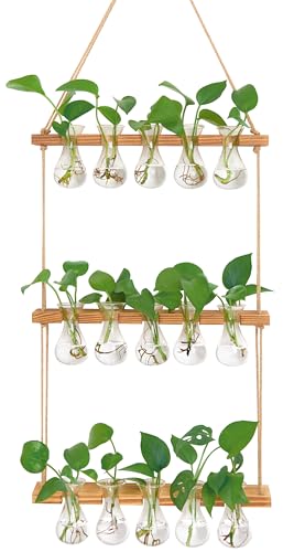 XXXFLOWER Wall Hanging Propagation Station with Wooden Stand 5 Bulb Vase 3 Tiered Planters Wall Terrarium for Home Office Plant Hanger Flower Vases Wall Decor