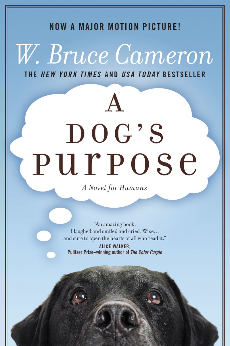 Dog's Purpose  - Image 1
