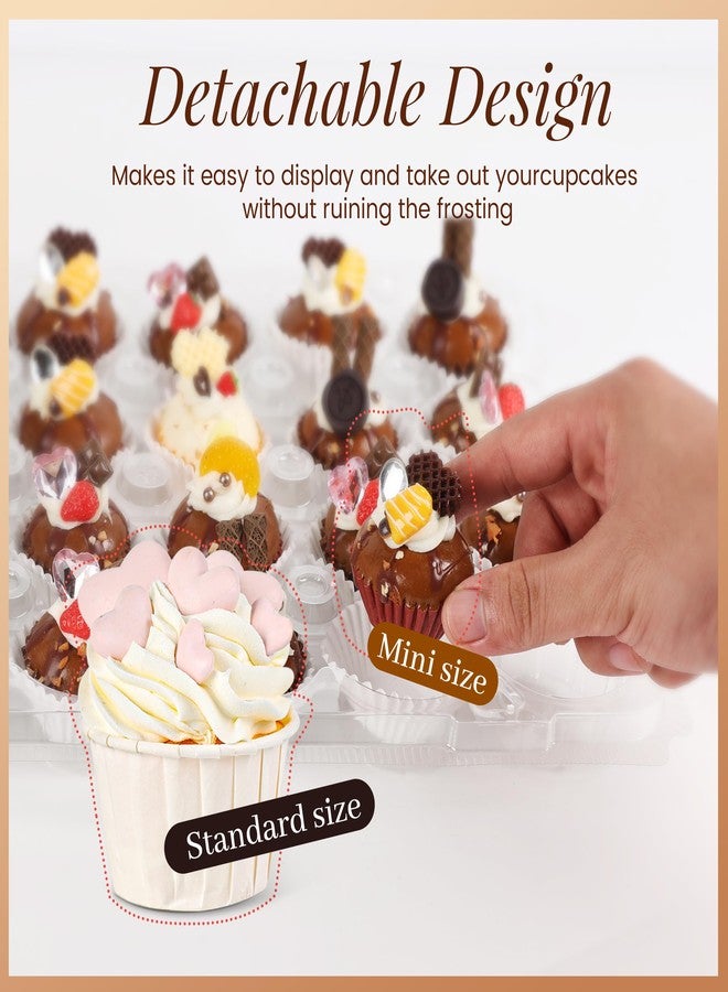 LOKQING Mini 24 Count Cupcake Containers 15 Pack with 360 Pack Cupcakes Liners, Plastic Cupcake Holder, Stackable Mini Cupcake Boxes Carrier, Clear Disposable Cupcake Trays, High Dome - Image 2