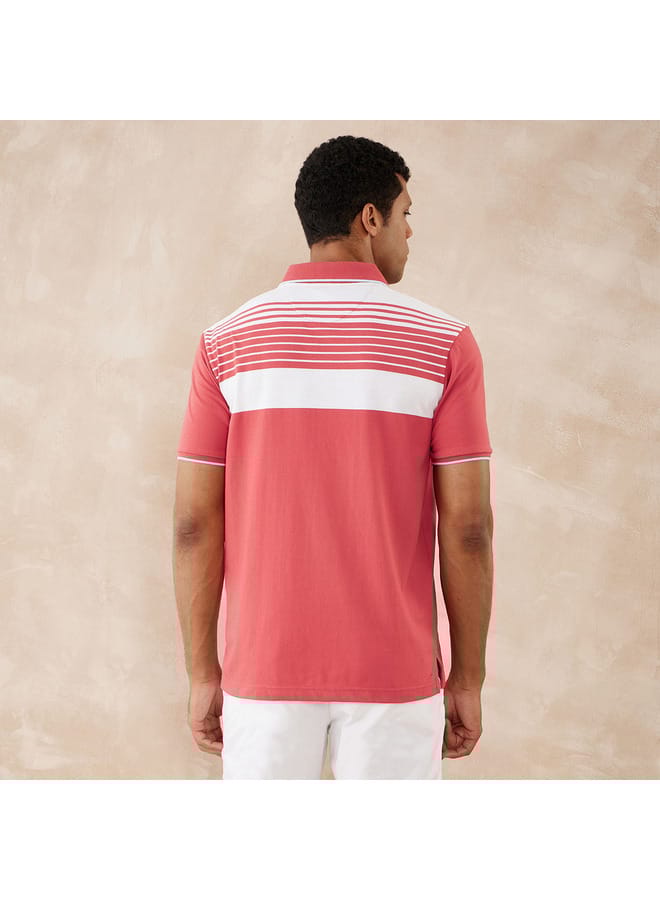 fahrenheit Fahrenheit Striped Polo T-shirt with Short Sleeves  - Image 4