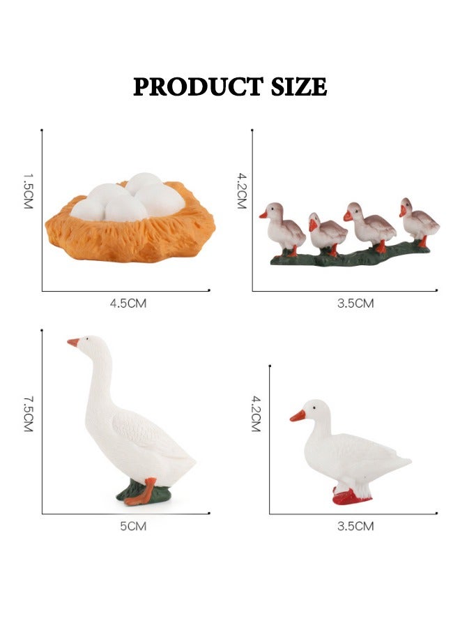 4-Piece Duck Growth Cycle Model Figure, Realistic Animal Figurines, Animal Growth Cycle Biological Model, Lifelike Duck Life Cycle Model Set for Kids Education, Learning Gifts, Party Favors - Image 3