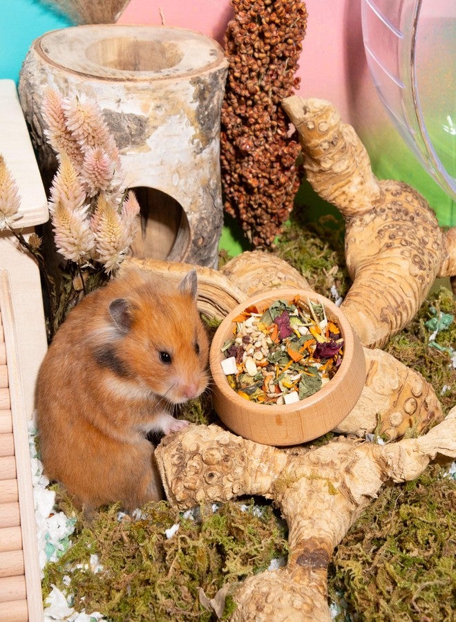 Niteangel Golden Hamster Food & Treats - Small Animal Natural Food for Syrian Golden Hamsters or Other Small-Sized Pets - Image 4