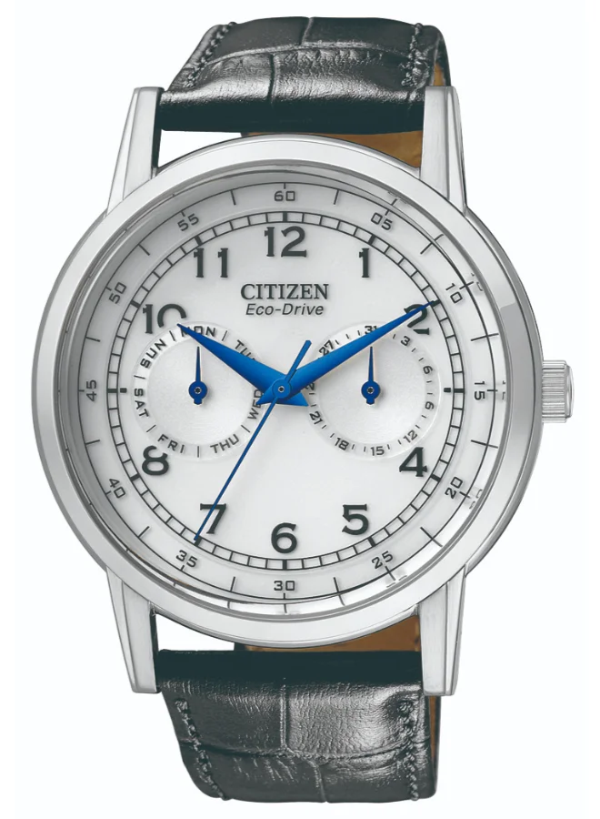 CITIZEN Men's Calf Leather Eco-Drive Standard Watch AO9000-06B - 42 mm