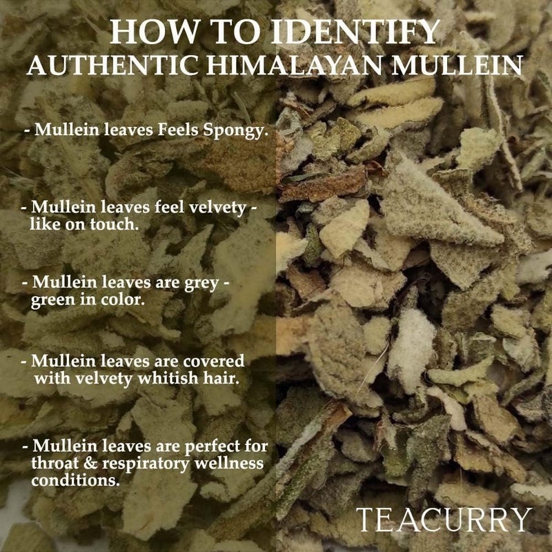 Teacurry Mullein Leaf Tea (100 Grams Loose Tea) - Helps with Immunity, Breathing Health and Lung Detox - Image 4