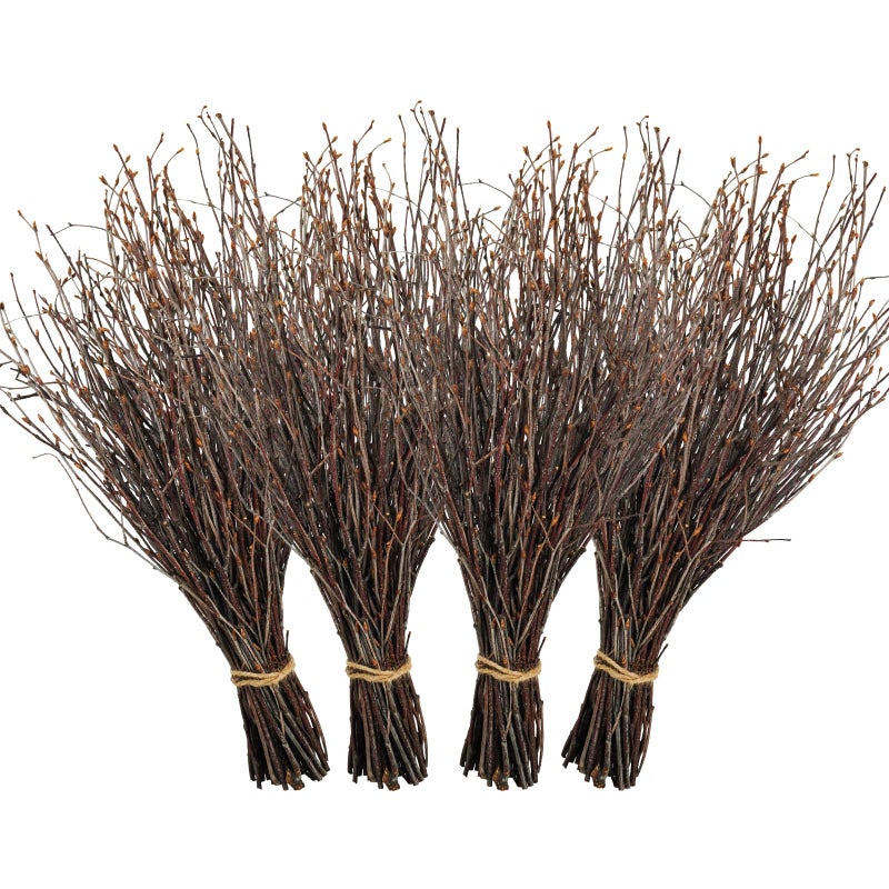 Ruidazon 200 Pcs Real Dried Birch Branches 17 Inch Natural Birch Twigs Tall Birch Tree Sticks for Decorative Vases Crafts DIY Floral Arrangements Wreath Wedding Centerpiece Home Decor - Image 2
