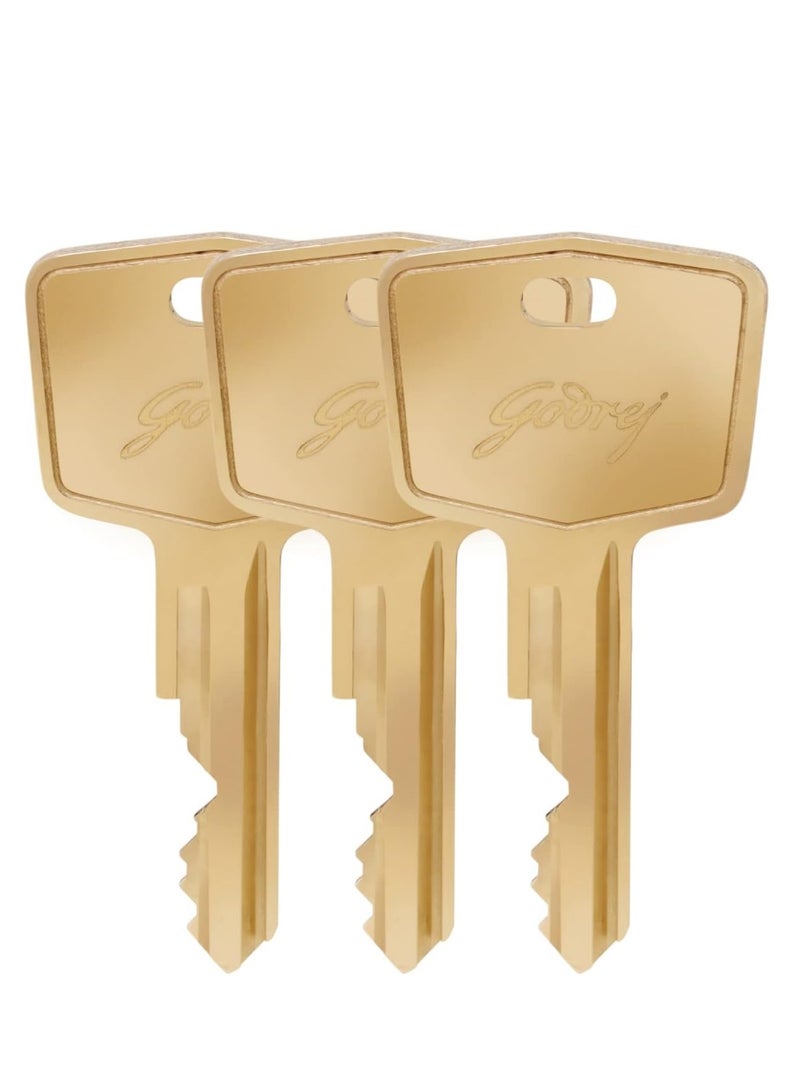 Godrej No. 1 Made in India 40mm Square Padlock for Door, Hardened Shackle Brass Finish Lock for Main Door with 3 Keys - Image 4