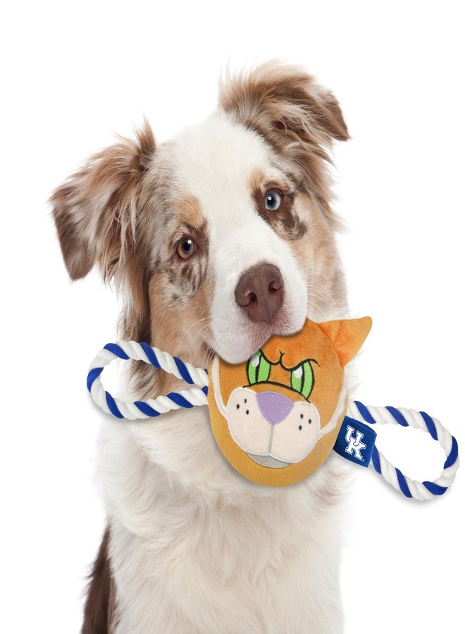 Pets First NCAA Kentucky Wildcats Nylon Mascot Dog Toy with Tough Dog Ropes & Inner Squeaker in Bright Team Colors - Image 5