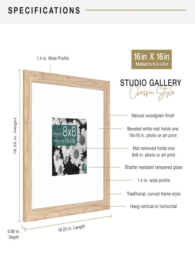 MCS Classic Studio Gallery Frame, Natural Woodgrain, 16 x 16 in matted to 8 x 8 in, Single - Image 4
