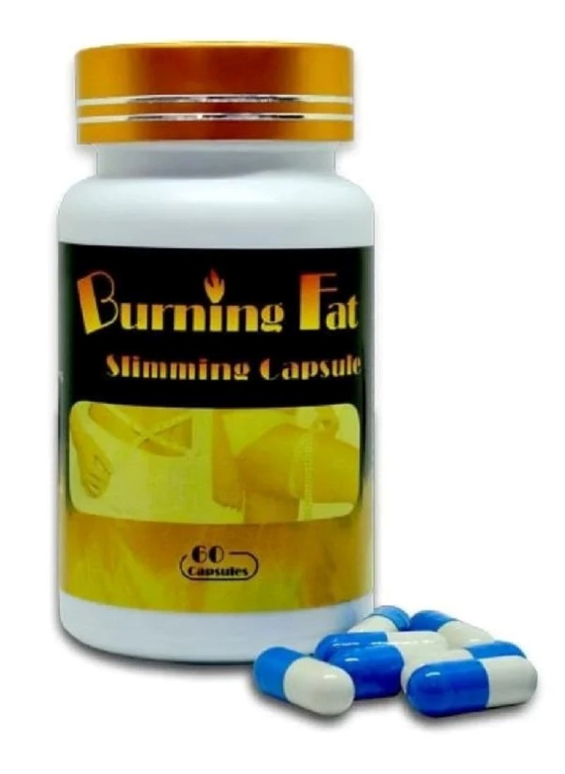 Fat burning capsules - 60 pcs - pzsku/Z9901E0DCF9ED60925427Z/45/_/1725390669/455fde25-11ce-46d5-835f-fe4f5d640f84