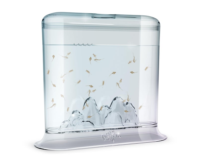 Animagic Aqua Dragons Hatch 'n' Grow Basic Tank | Build an Aquatic Ecosystem, Watch Prehistoric Pets Hatch & Grow Science Kit | Ages 6+ - Image 2