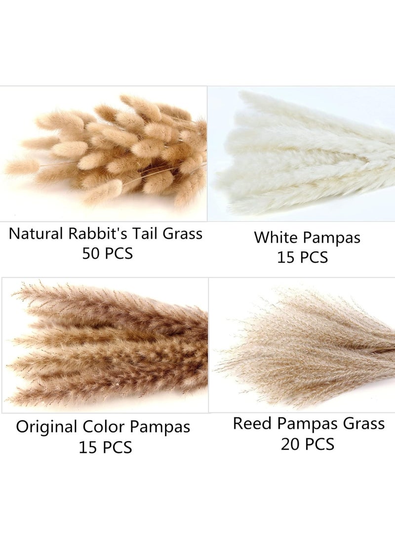 YelaJoy Dried Pampas Grass Decor, 100 PCS Pampas Grass Contains Bunny Tails Dried Flowers, Reed Grass Bouquet for Wedding Boho Flowers Home Table Decor, Rustic Farmhouse Party (White and Brown) - Image 3