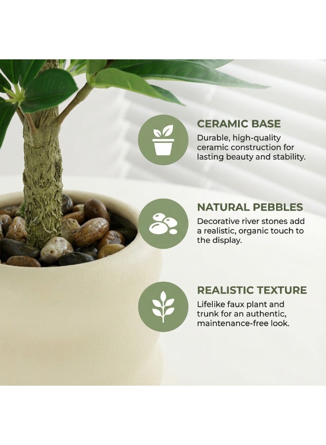 شجرة المال الصطناعية مع أصيص - ديكور منزلي - Image 5