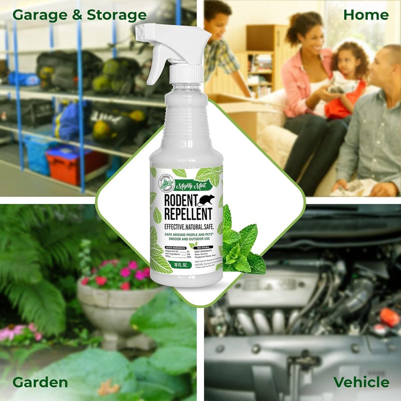 Mighty Mint Peppermint Oil Rodent Repellent Spray – Natural Indoor & Outdoor Control for Mice and Rats – Plant-Based, Extra-Strong Formula - 16 oz (Pack of 2) - Image 3