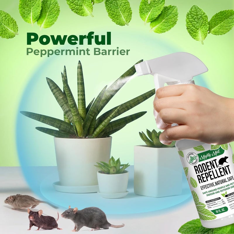Mighty Mint Peppermint Oil Rodent Repellent Spray – Natural Indoor & Outdoor Control for Mice and Rats – Plant-Based, Extra-Strong Formula - 16 oz (Pack of 2) - Image 4