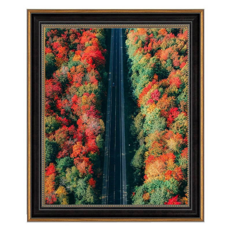 Space Art Deco 16x20 Ornate Picture Frame Without Mat for 16x20 PhotoShatterResistant Glass Sawtooth Hangers Wall Mount DisplayColor BlackOrnate Gold