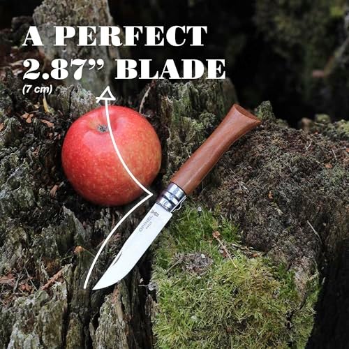OPINEL No.06-No.09 Premium Woods, Stainless Steel Folding Pocket Knife, Made in France (No.06/Walnut) - Image 3