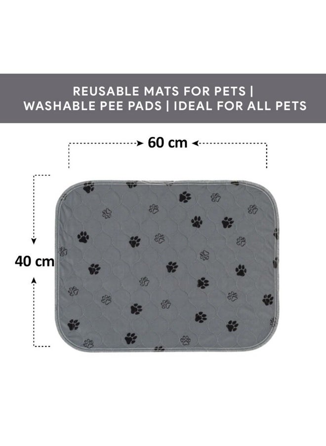 Goofy Tails Reusable Pee Pads for Dogs (Paw Print, 60X40) (Pack of 1), Washable Dog Pee Pads, Non-Slip Pee Mat for Dogs and Puppies, Reusable Dog Pee Mats, Reusable Training Puppy Pee Pad - pzsku/Z990B8CBDAFF98D4D9CBEZ/45/_/1737721449/1a842601-09ed-400f-b5fc-a03c5e28e7a2