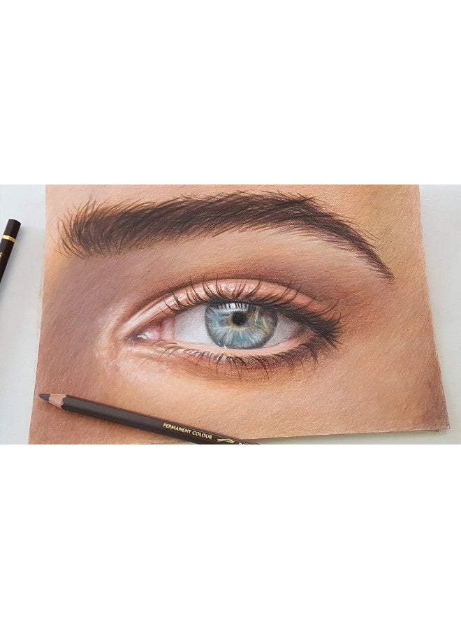 Caran d'Ache Pablo Colored Pencil #493 Granite Rose (666.493) - Image 1