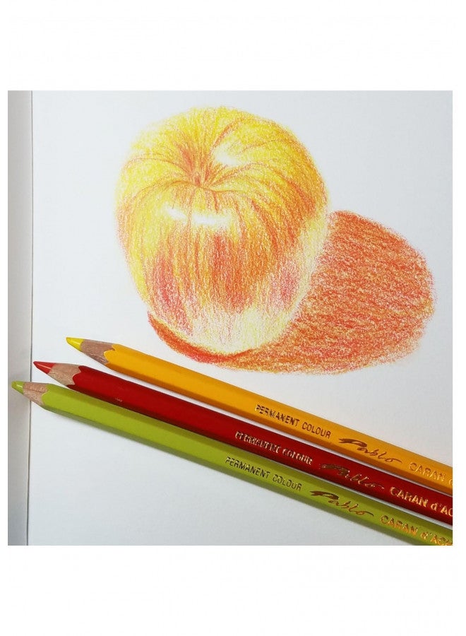 Caran d'Ache Pablo Colored Pencil #493 Granite Rose (666.493) - Image 2