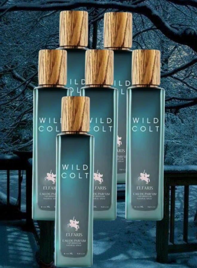 ELFARIS 6 Pieces Wild Colt Perfume 100ML - Image 1