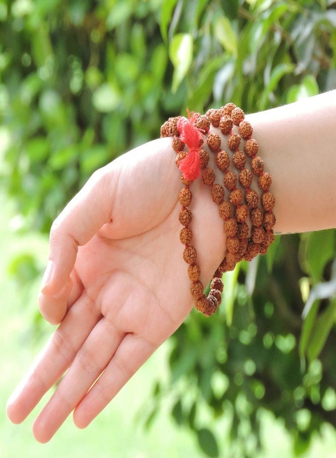 HealthGoodsIn Rudraksha Mala Knoted, Organic, 5 Face (Panchmukhi) with 108 + 1 Beads (8-9 MM Bead Size) for Japa Meditation - Image 4