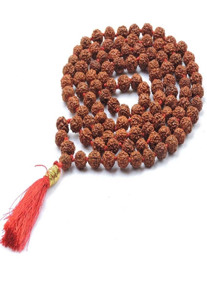 HealthGoodsIn Rudraksha Mala Knoted, Organic, 5 Face (Panchmukhi) with 108 + 1 Beads (8-9 MM Bead Size) for Japa Meditation - Image 1